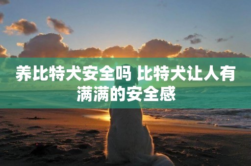 養比特犬安全嗎 比特犬讓人有滿滿的安全感
