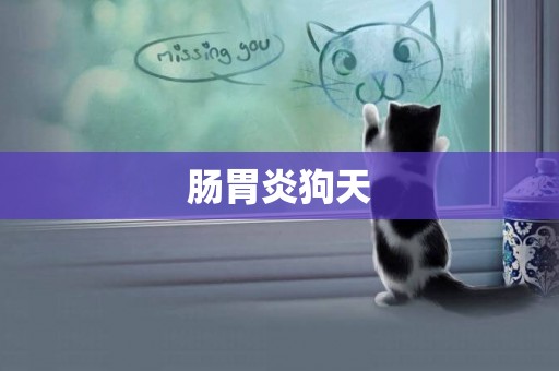 腸胃炎狗天
