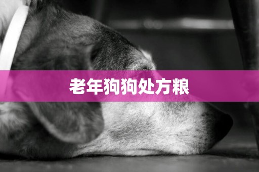 老年狗狗處方糧