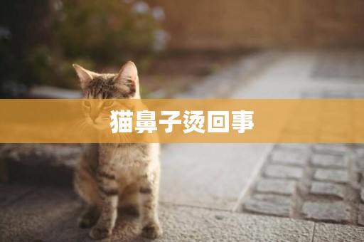 貓鼻子燙回事