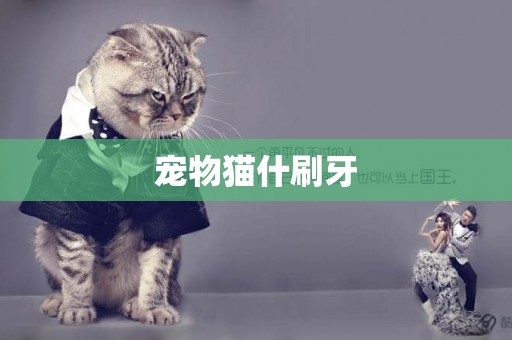 寵物貓什刷牙