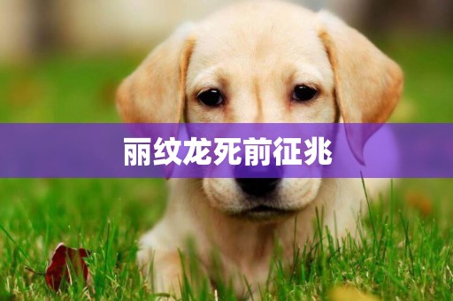 麗紋龍死前征兆