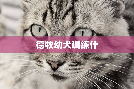 德牧幼犬訓練什