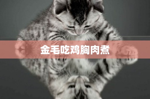 金毛吃雞胸肉煮