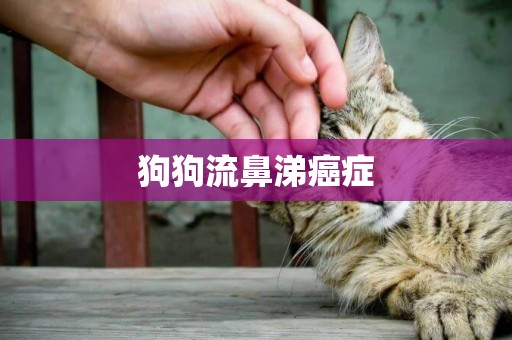 狗狗流鼻涕癌癥