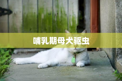 哺乳期母犬驅蟲