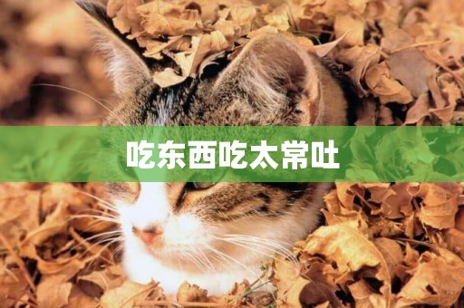 吃東西吃太常吐