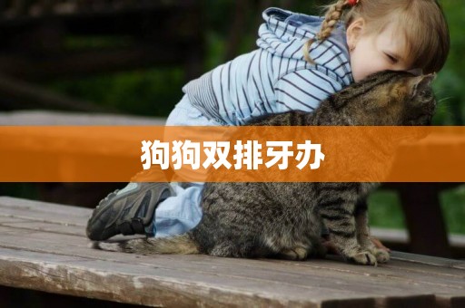 狗狗雙排牙辦