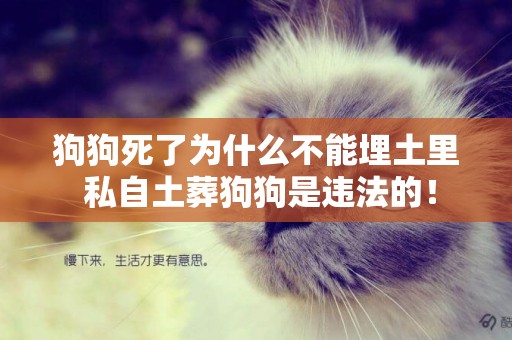 狗狗死了為什么不能埋土里 私自土葬狗狗是違法的! 狗狗死了為什么不能埋土里 私自土葬狗狗是違法的!