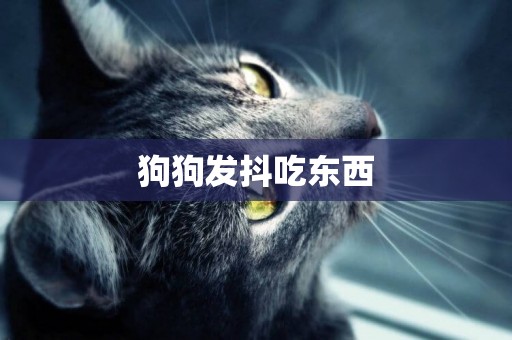 狗狗發抖吃東西