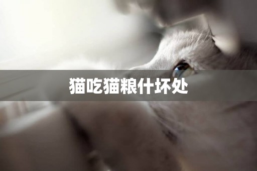 貓吃貓糧什壞處