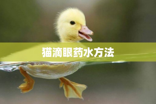 貓滴眼藥水方法