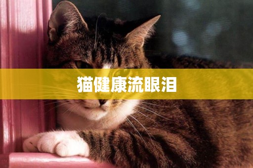 貓健康流眼淚