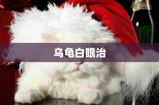 烏龜白眼治