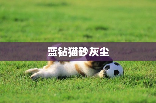 藍鉆貓砂灰塵