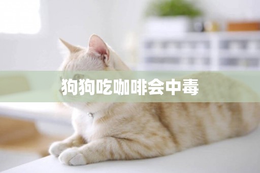 狗狗吃咖啡會中毒
