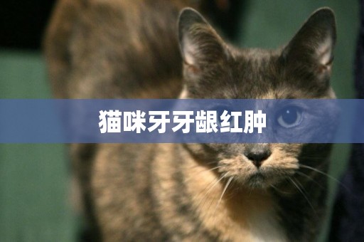 貓咪牙牙齦紅腫