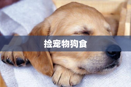 撿寵物狗食