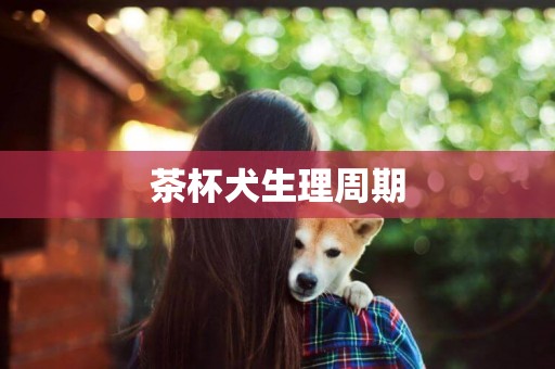 茶杯犬生理周期
