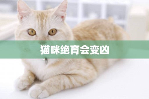 貓咪絕育會變兇