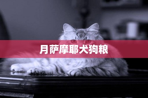 月薩摩耶犬狗糧