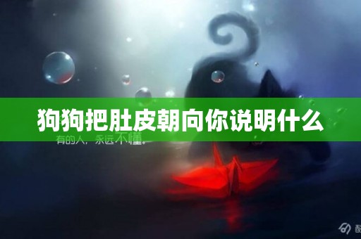 狗狗把肚皮朝向你說明什么