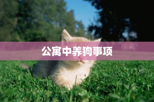 公寓中養狗事項