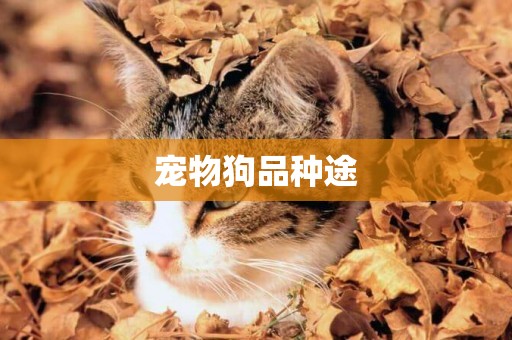 寵物狗品種途