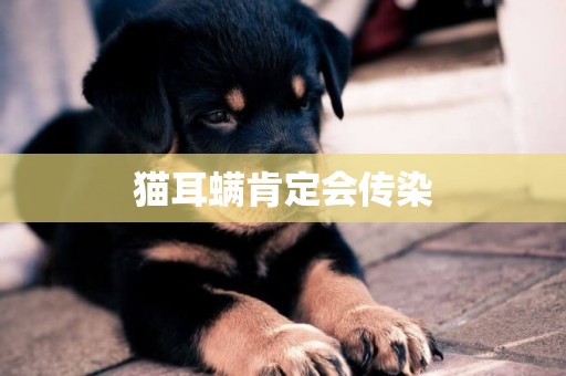 貓耳螨肯定會傳染
