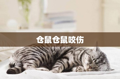 倉鼠倉鼠咬傷