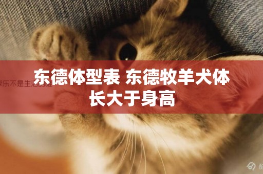 東德體型表 東德牧羊犬體長大于身高