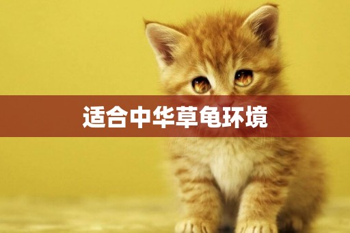 適合中華草龜環境