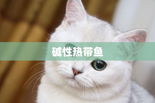 堿性熱帶魚