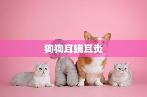 狗狗耳螨耳炎
