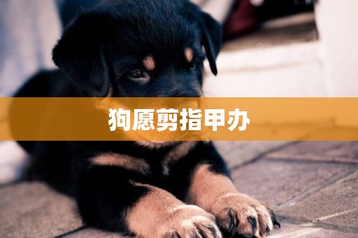 狗愿剪指甲辦
