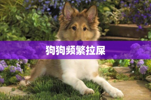 狗狗頻繁拉屎