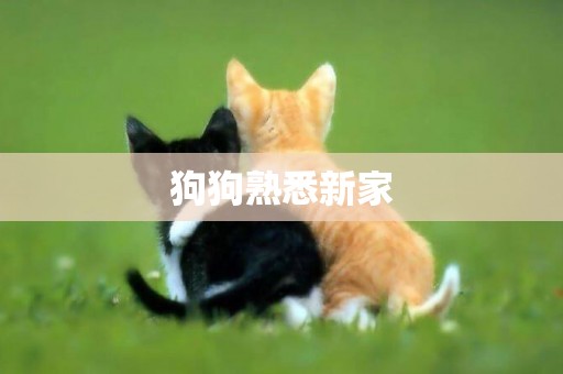 狗狗熟悉新家