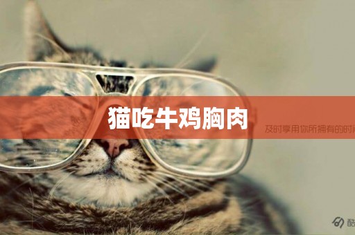 貓吃牛雞胸肉