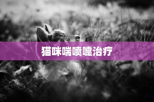 貓咪喘噴嚏治療