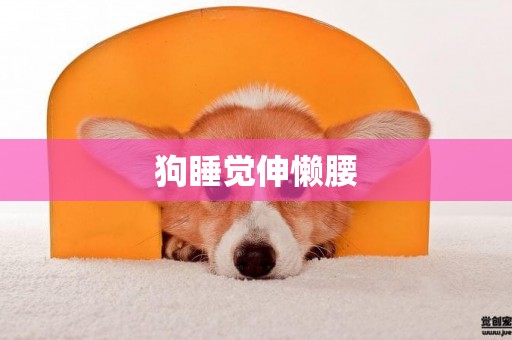 狗睡覺伸懶腰