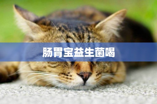 腸胃寶益生菌喝
