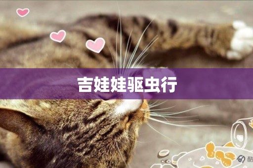 吉娃娃驅蟲行