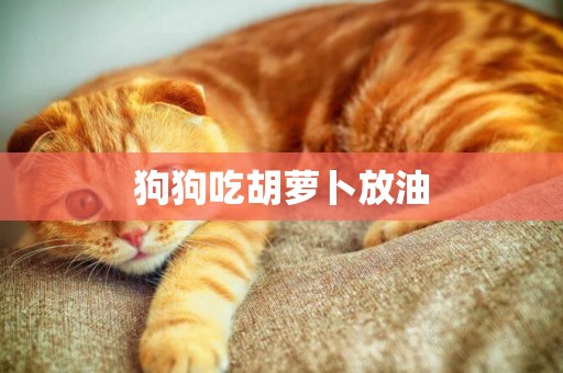 狗狗吃胡蘿卜放油