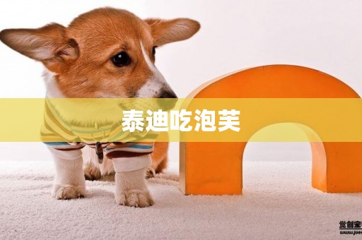 泰迪吃泡芙