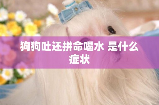 狗狗吐還拼命喝水 是什么癥狀