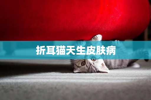 折耳貓天生皮膚病