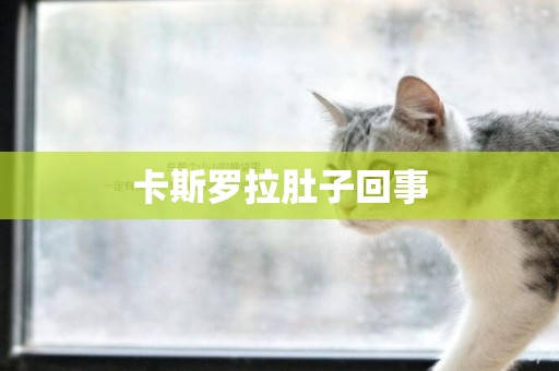卡斯羅拉肚子回事
