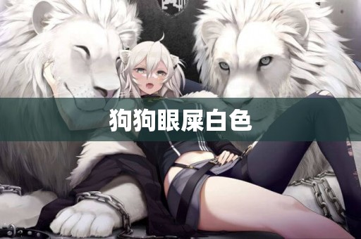 狗狗眼屎白色