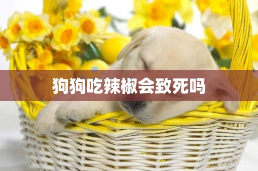 狗狗吃辣椒會致死嗎