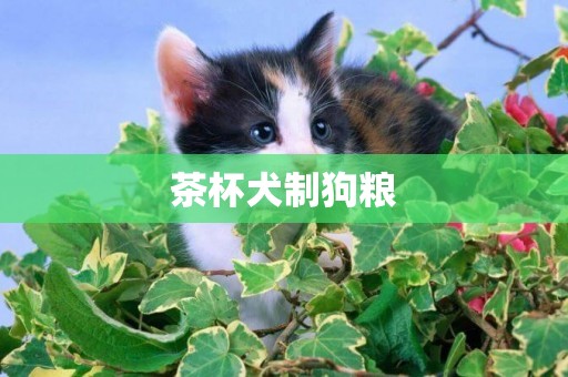 茶杯犬制狗糧